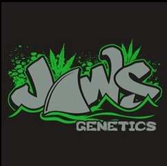 Logo Jaws Gear