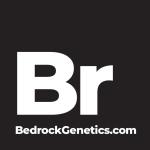 Logo Bedrock Genetics
