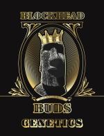 Logo Blockhead Buds
