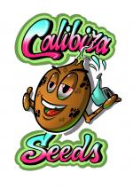 Logo Calibiza Seeds