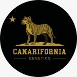Logo Canarifornia Genetics