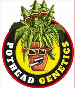Logo Pothead Genetics