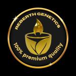 Logo Reberth Genetics