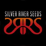 Logo Silver River Seeds