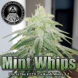 Alchemy Genetics Mint Whips