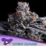 Anesia Seeds High Mars