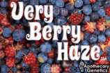 Apothecary Genetics Very Berry Haze