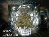 B.O.G. Seeds LifeSaver