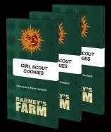 Barneys Farm Girl Scout Cookies