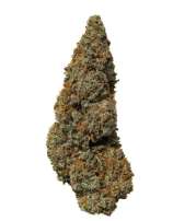 Big Dog Exotic Cannabis Seeds Strawberry Banana