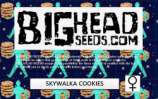 Big Head Seeds Skywalka Cookies