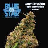Blue Star Seed Co Grape Juice Cocktail