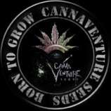 CannaVenture Seeds Triple Nova