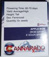 Cannarado Genetics Apple Bob