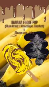 Crockett Family Farms Banana Fudge Pop