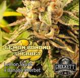 Crockett Family Farms Lemon Banana Sherbert