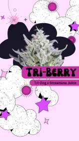 Crockett Family Farms Tri-Berry