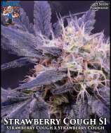 Dr. Blaze Strawberry Cough