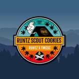 Elev8 Seeds Runtz Scout Cookies