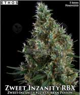 Ethos Genetics Zweet Inzanity RBX