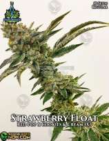 Strawberry Float
