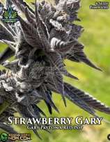 Strawberry Gary