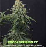 Fast Buds Company Wedding Cheesecake FF