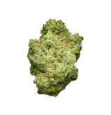 Fatbush Seeds Bruce Banner XL