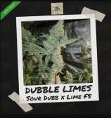 Freeborn Selections Dubble Limes