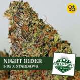 Greenpoint Seeds Night Rider
