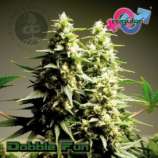 Growers Choice Double Fun