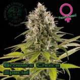 Growers Choice Growerschoice Special