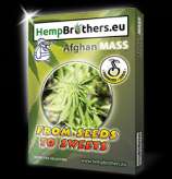 Hempbrothers Afghan Mass