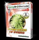 Hempbrothers White Nurse