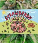 Herbies Seeds Strawberry Amnesia