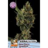 Kera Seeds Cherry Grapefruit