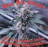 Matchmaker Genetics Maui Mac Dragon