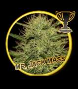 Mr. Jack Mass