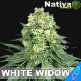 Nativa Seeds White Widow