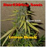 New420Guy Seeds Lemon Skunk