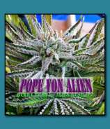 Pope von alien seeds