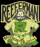 Reefermans Seeds Burmese Pure