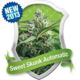 Royal Queen Seeds Sweet Skunk Automatic