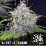 Short Stuff Seedbank Auto Bud Cannon