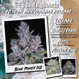 Sin City Seeds Blue Power IX2