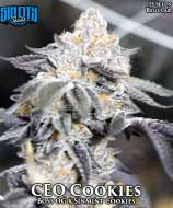 Sin City Seeds CEO Cookies