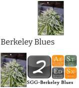 Stoney Girl Gardens Berkley Blues