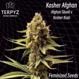 TerpyZ Mutant Genetics Kosher Afghan