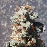 Trichome Orchards Purple Arcana