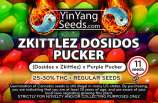 Yin Yang Seeds Zkittlez Dosi Pucker